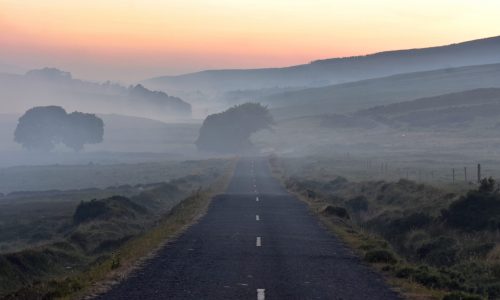 Misty road through green hills at dawn
