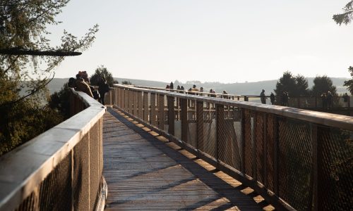Wooden walkway with people enjoying the view